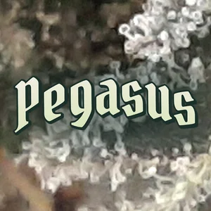 Pegasus Cannabis Strain