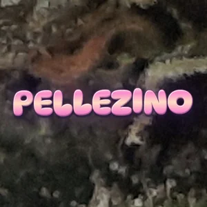 Pellezino Cannabis Strain