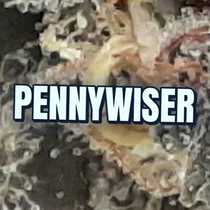 Pennywiser Cannabis Strain