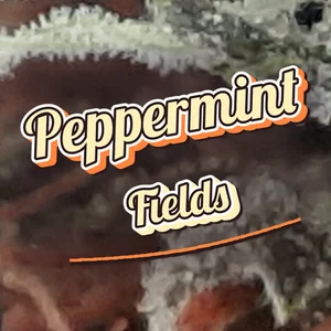 Peppermint Fields Cannabis Strain