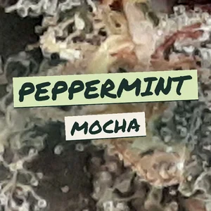 Peppermint Mocha Cannabis Strain