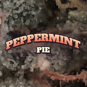 Peppermint Pie Cannabis Strain
