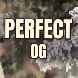 Perfect OG Cannabis Strain