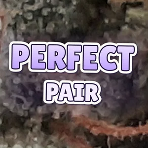 Perfect Pair Cannabis Strain
