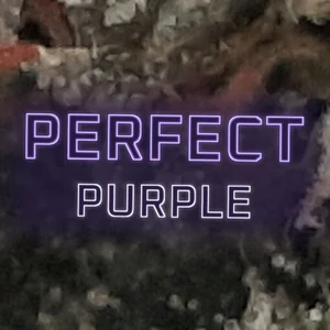 Perfect Purple Cannabis Strain