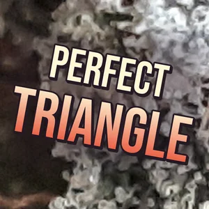 Perfect Triangle Cannabis Strain