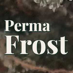 Perma Frost Cannabis Strain