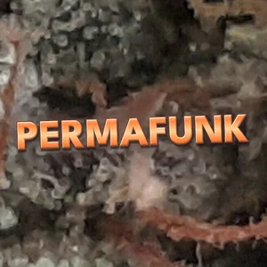 Permafunk Cannabis Strain
