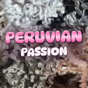 Peruvian Passion Cannabis Strain