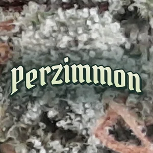 Perzimmon Cannabis Strain