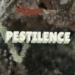 Pestilence Cannabis Strain