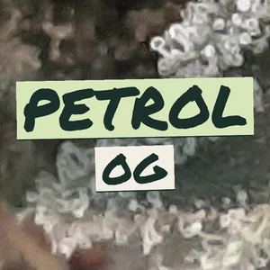 Petrol OG Cannabis Strain