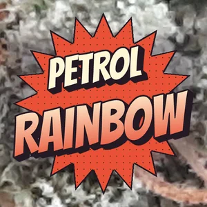 Petrol Rainbow Cannabis Strain