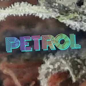 Petrol Cannabis Strain