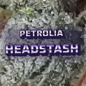 Petrolia Headstash Cannabis Strain