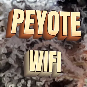 Peyote WiFi Cannabis Strain