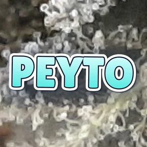 Peyto Cannabis Strain
