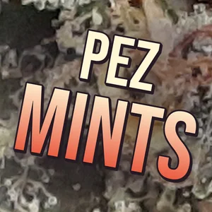 Pez Mints Cannabis Strain