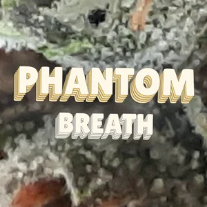 Phantom Breath Cannabis Strain