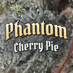 Phantom Cherry Pie Cannabis Strain