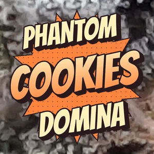 Phantom Cookies Domina Cannabis Strain
