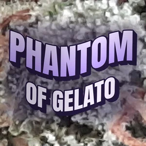 Phantom of Gelato Cannabis Strain