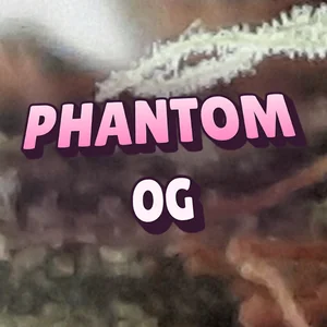 Phantom OG Cannabis Strain