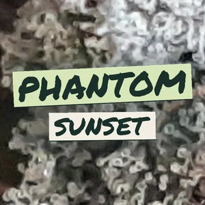 Phantom Sunset Cannabis Strain