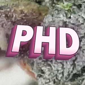 PHD Cannabis Strain