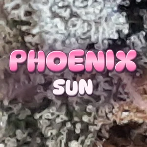 Phoenix Sun Cannabis Strain