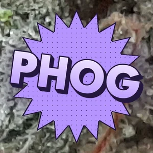 PHOG Cannabis Strain
