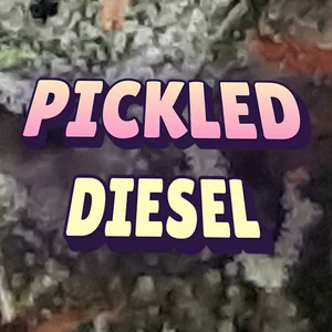 Pickled Diesel Cannabis Strain