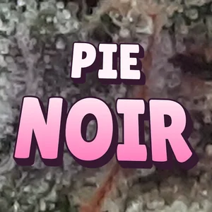 Pie Noir Cannabis Strain