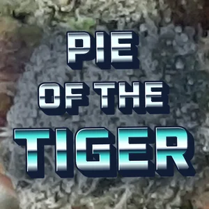 Pie of the Tiger Cannabis Strain