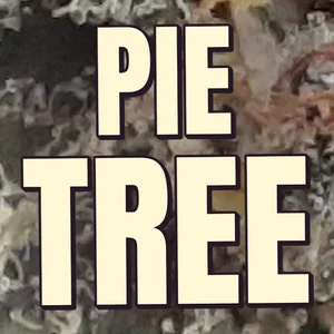 Pie Tree Cannabis Strain