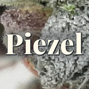 Piezel Cannabis Strain