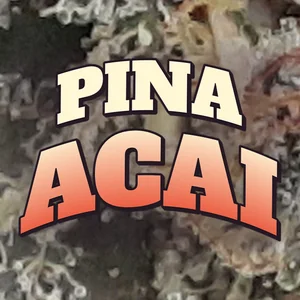 Pina Acai Cannabis Strain