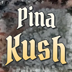 Pina Kush Cannabis Strain