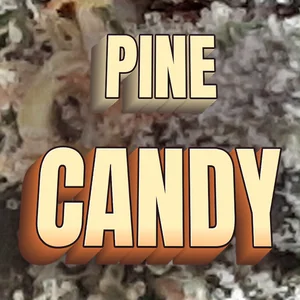 Pine Candy Cannabis Strain