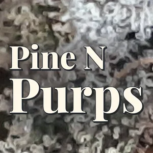 Pine N Purps Cannabis Strain