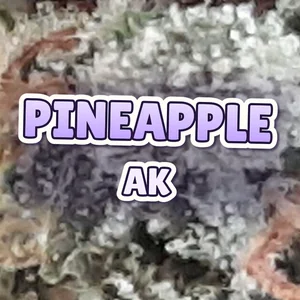 Pineapple Ak Cannabis Strain