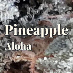 Pineapple Aloha Cannabis Strain