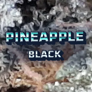 Pineapple Black Cannabis Strain
