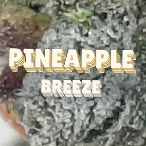 Pineapple Breeze Cannabis Strain