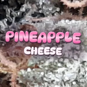 Pineapple Cheese Cannabis Strain