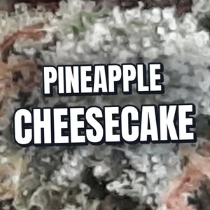 Pineapple Cheesecake Cannabis Strain