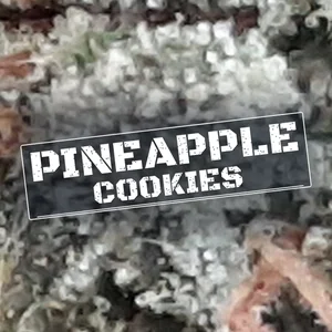 Pineapple Cookies Cannabis Strain