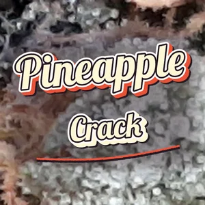 Pineapple Crack Cannabis Strain