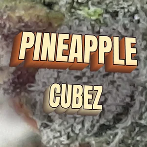 Pineapple Cubez Cannabis Strain