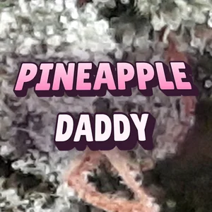 Pineapple Daddy Cannabis Strain